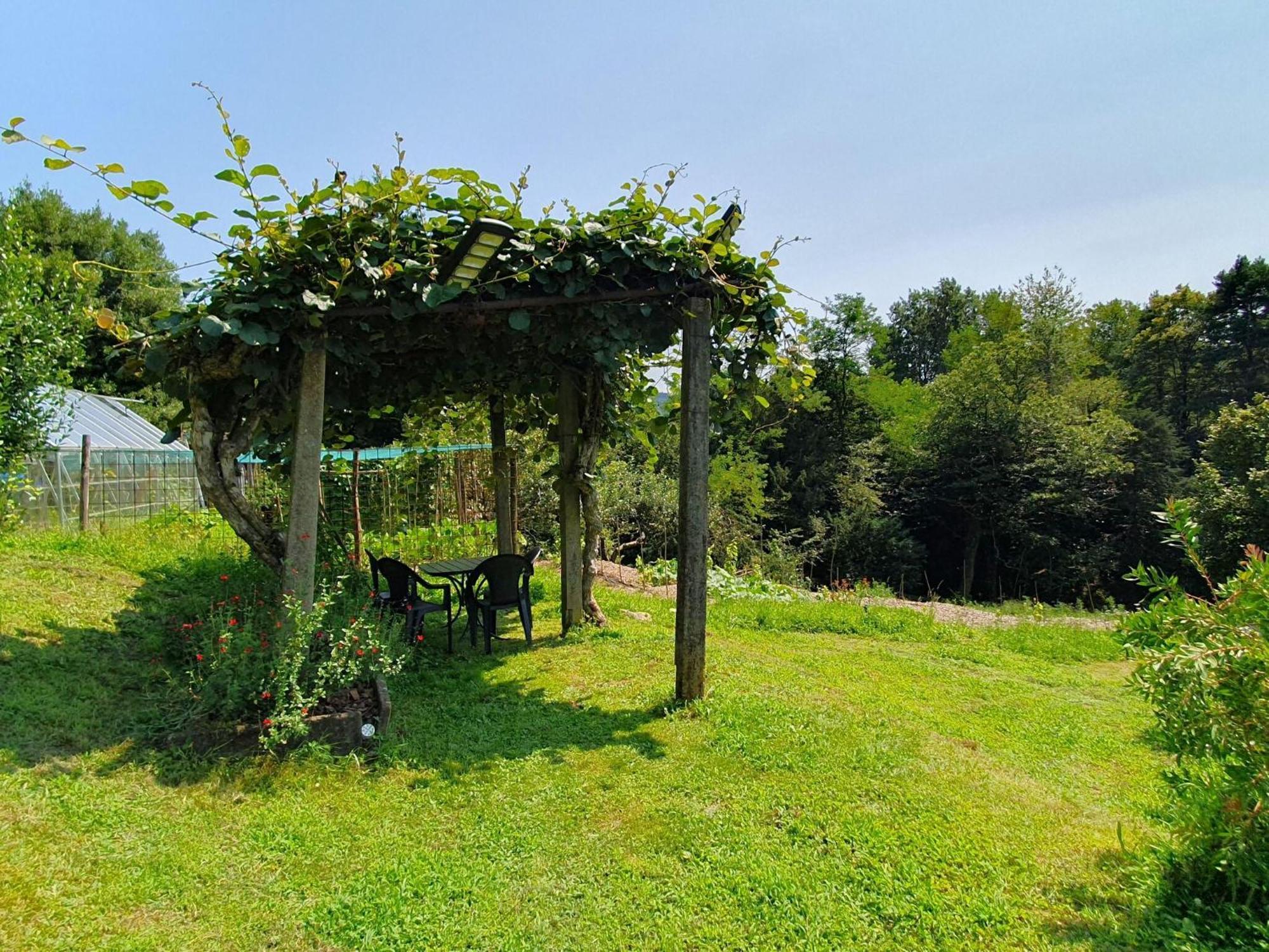 Villa With Enchanting Garden Overlooking The Lake Luino Dış mekan fotoğraf